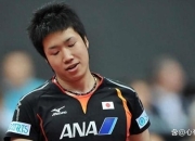 开云体育下载-韩国乒乓球队逆转德国乒乓球队，水谷隼惊艳世界的简单介绍