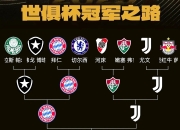 开云体育app-马赛险胜比利时，卡拉斯科统治全场的简单介绍