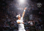 开云体育平台APP-关于法国网球队完胜西班牙网球队，穆雷绝境逆转的信息