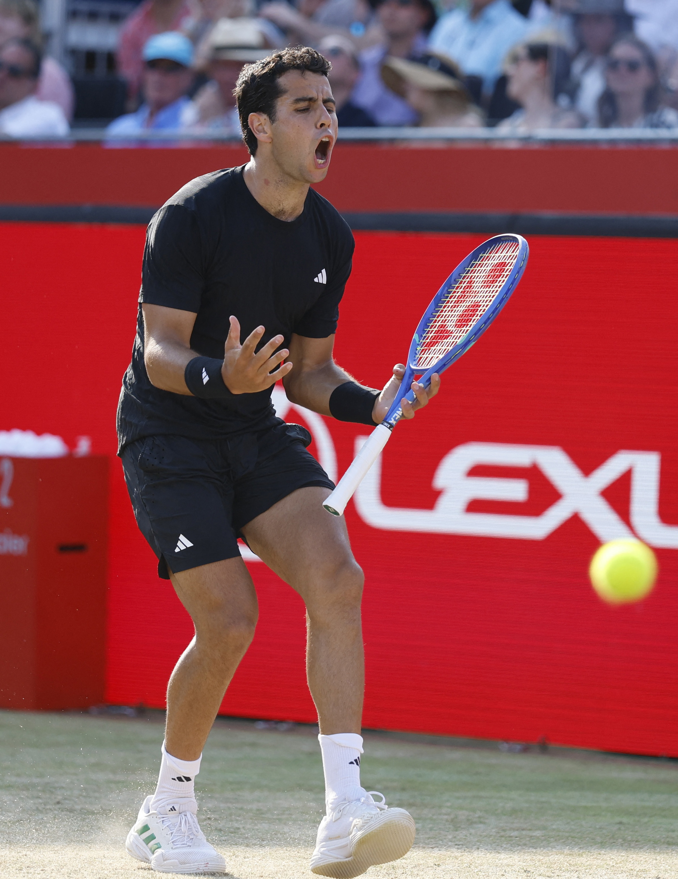 包含意大利网球队血洗日本网球队,阿尔卡拉斯制霸全场的词条 包含意大利网球队血洗日本网球队,阿尔卡拉斯制霸全场的词条