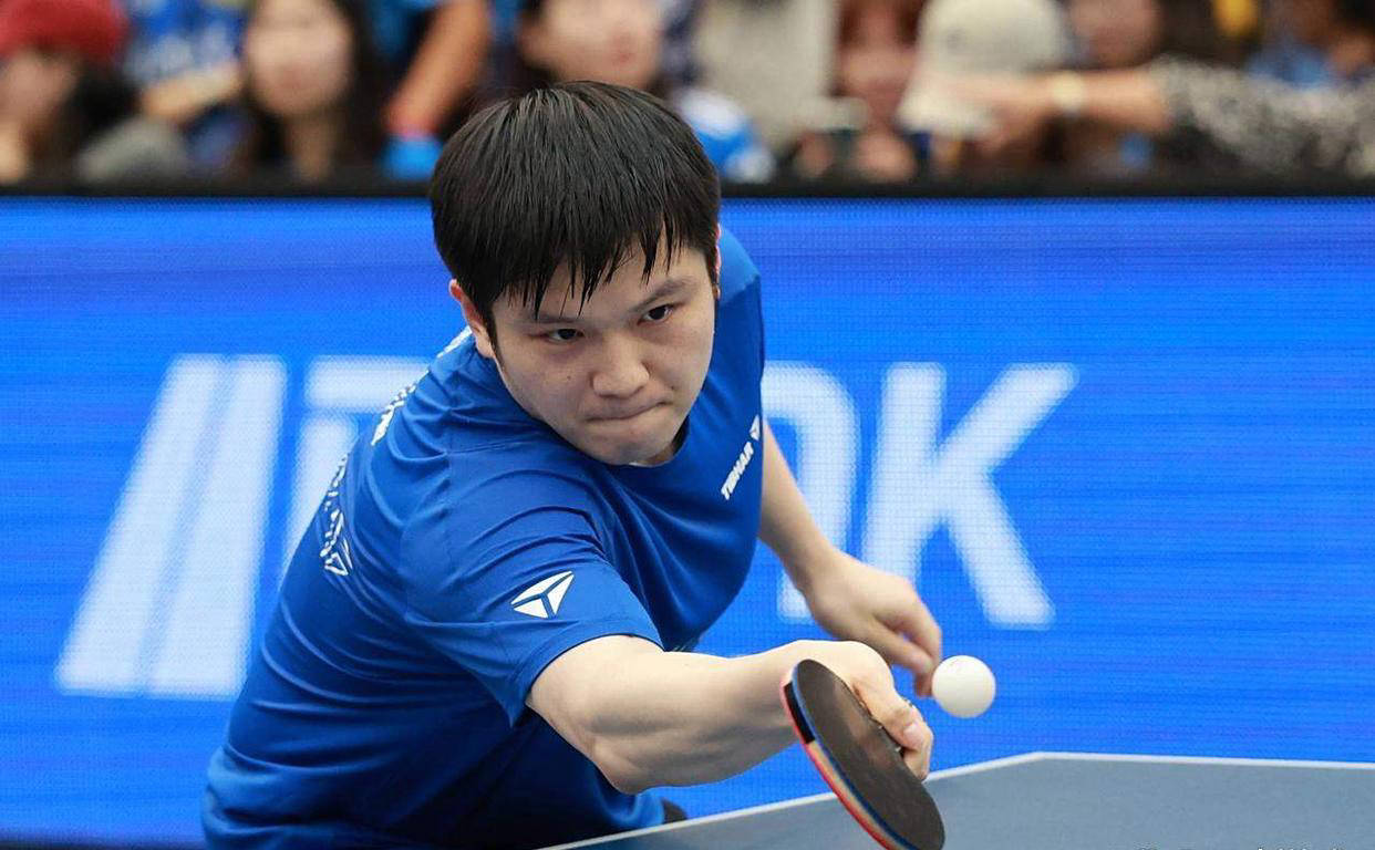 比利时乒乓球队翻盘波兰乒乓球队，樊振东爆发神勇的简单介绍