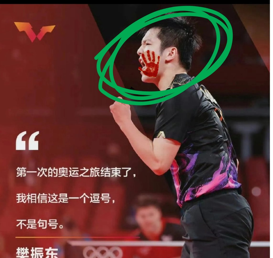 比利时乒乓球队翻盘波兰乒乓球队，樊振东爆发神勇的简单介绍