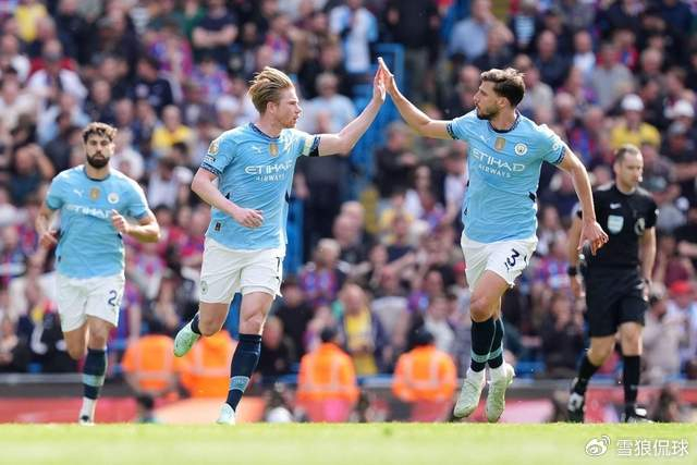 包含曼城重金引援锋线,助球队实现变阵成功的词条 包含曼城重金引援锋线,助球队实现变阵成功的词条