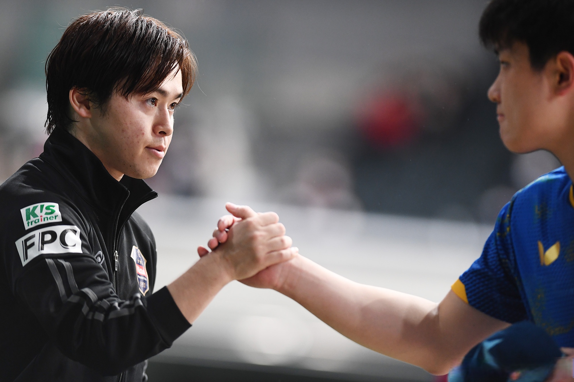 包含日本队完胜奥地利队，张本智和扛起全队的词条